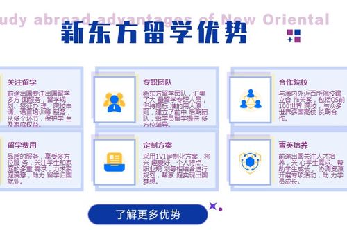 景德鎮(zhèn)新東方前途出國 一站式自費留學(xué)服務(wù)，助您圓夢世界名校