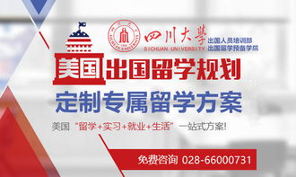 成都學(xué)生申請美國MPP項目條件解析與自費留學(xué)中介服務(wù)選擇指南