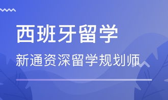 武漢西班牙留學中介 自費出國留學中介服務全指南
